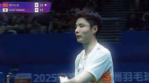 杨晨大神爆料结婚视频,幸福瞬间感动网友